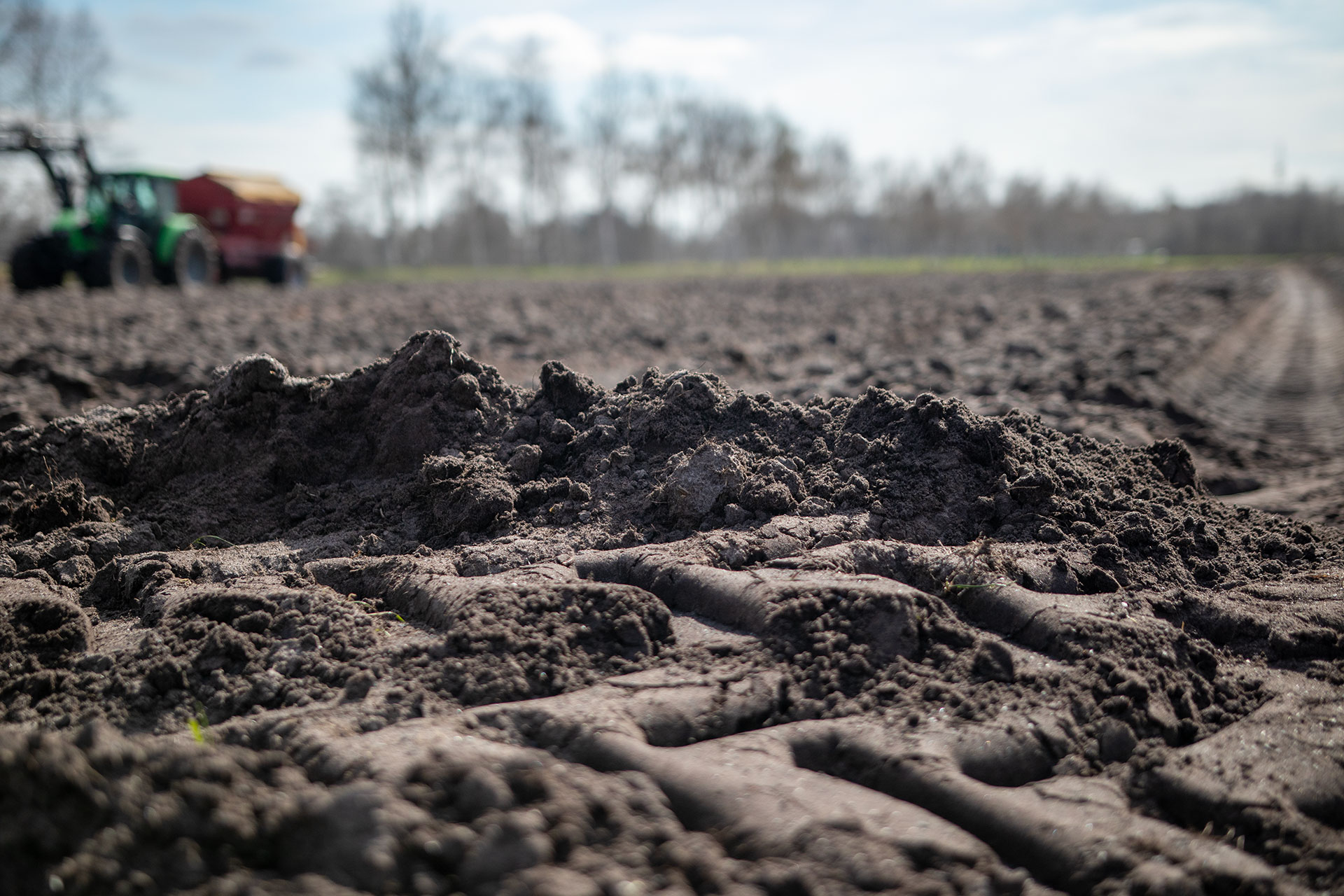 Buy dried digestate as fertiliser