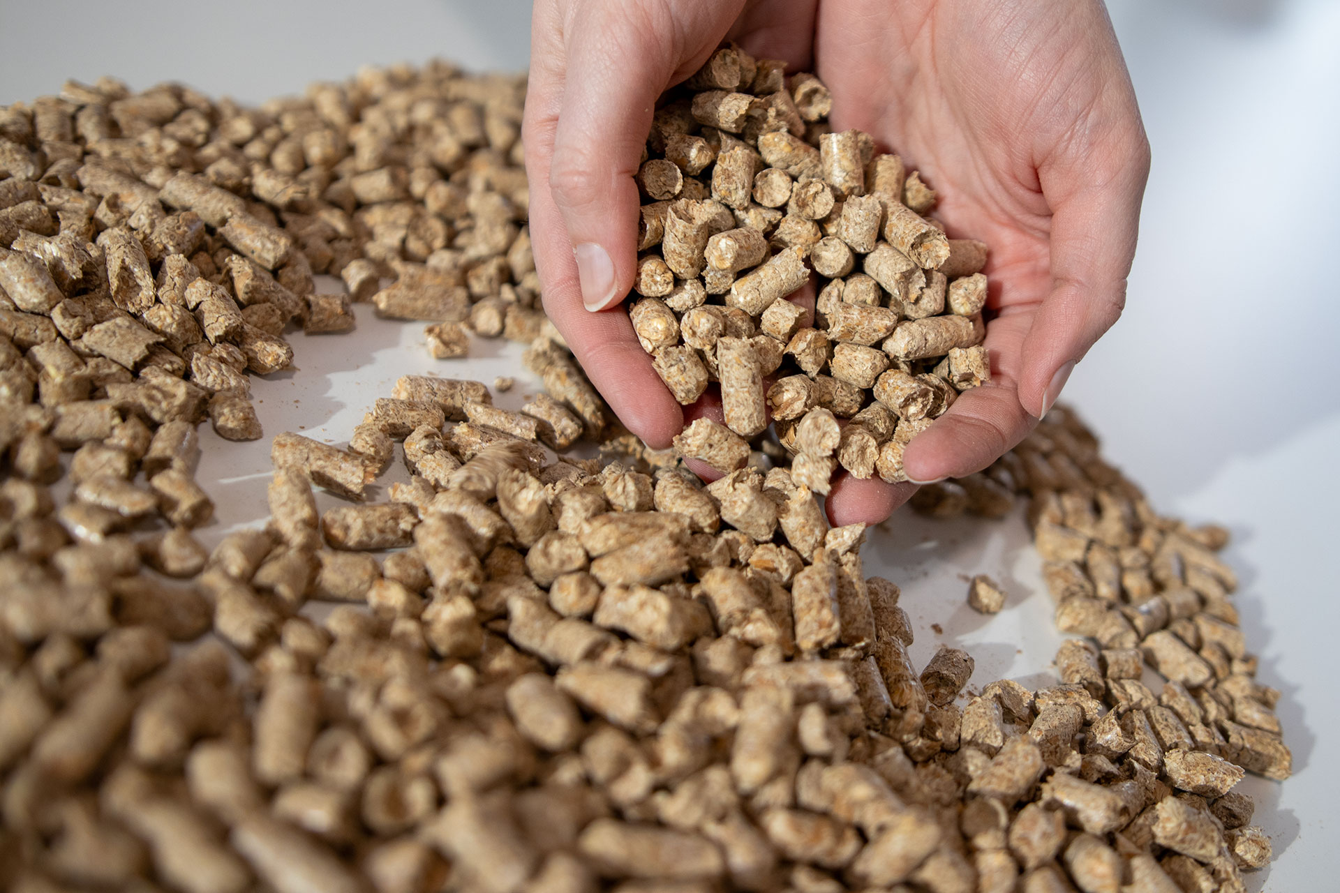 Spelt husk pellets