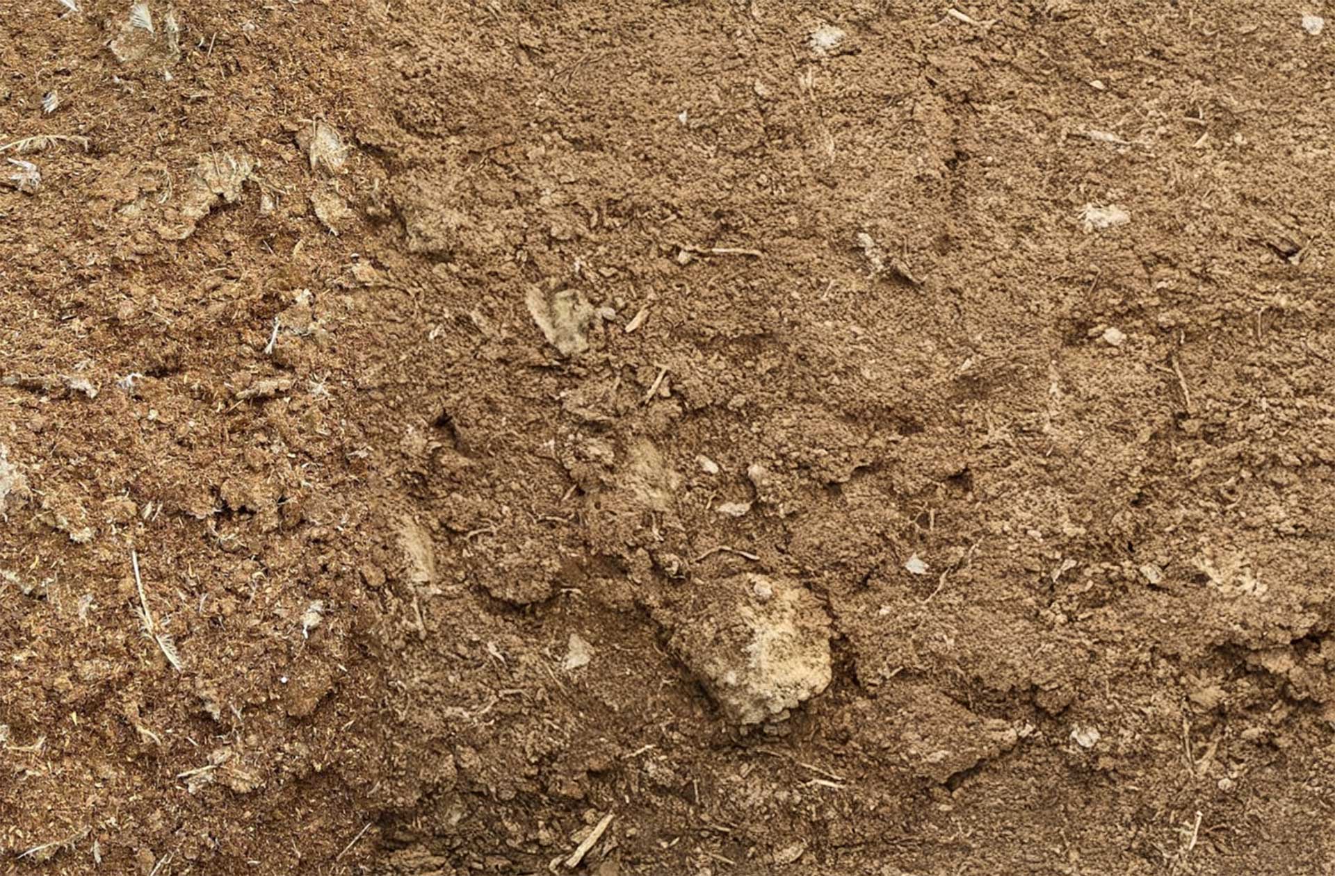 Turkey manure