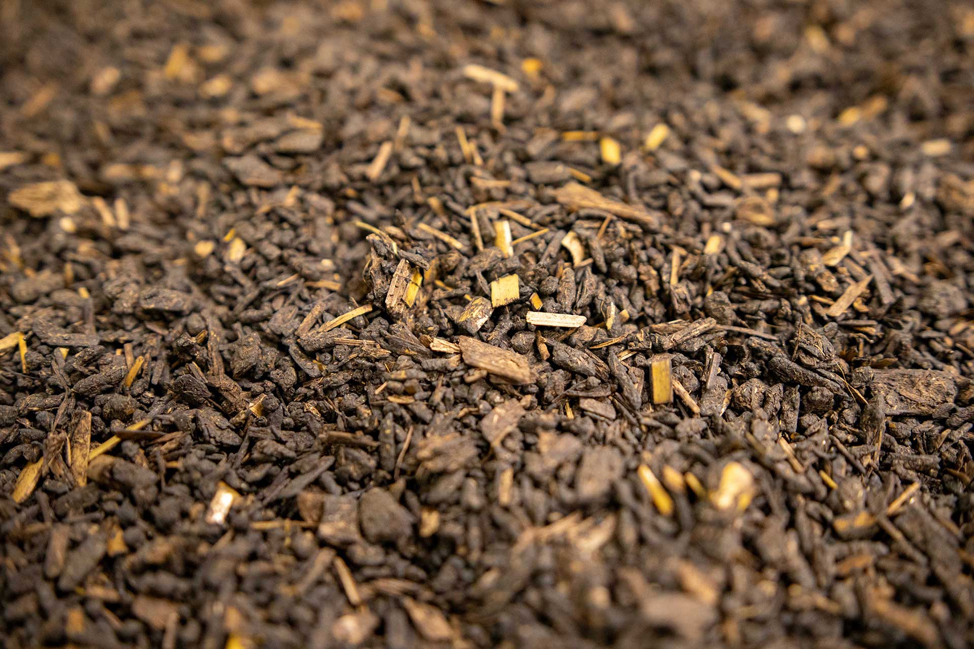 dried digestate