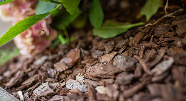 GETTING YOUR GARDEN READY FOR WINTER WITH BARK MULCH