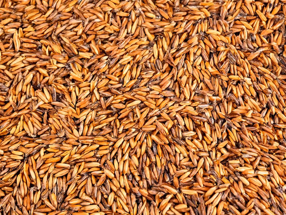 Grain Chaff Grain Chaff