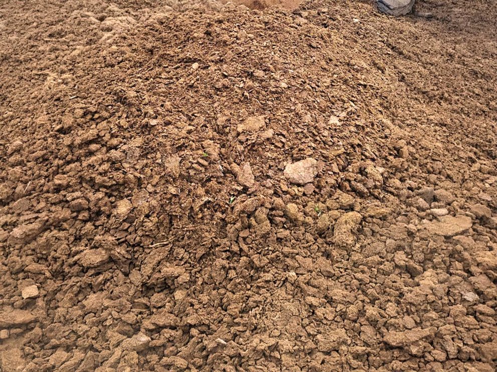 Chicken manure Chicken manure