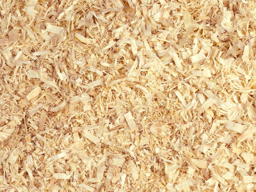 Wood shavings Wood shavings